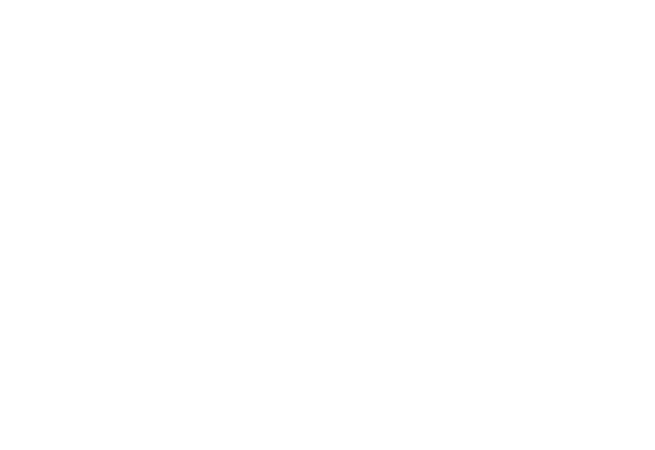 EIFM Logo